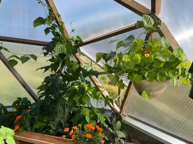 a view of a wooden cabinets