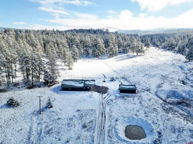 a view of a dry space with lots of trees