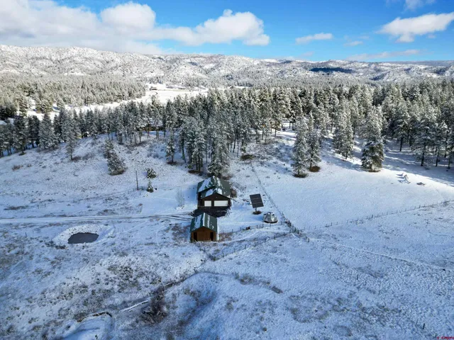 a view of a dry yard