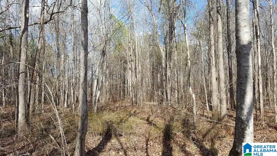 79 Highway 79, Unit 43 Remlap, AL 35133 - Photo 6 of 6