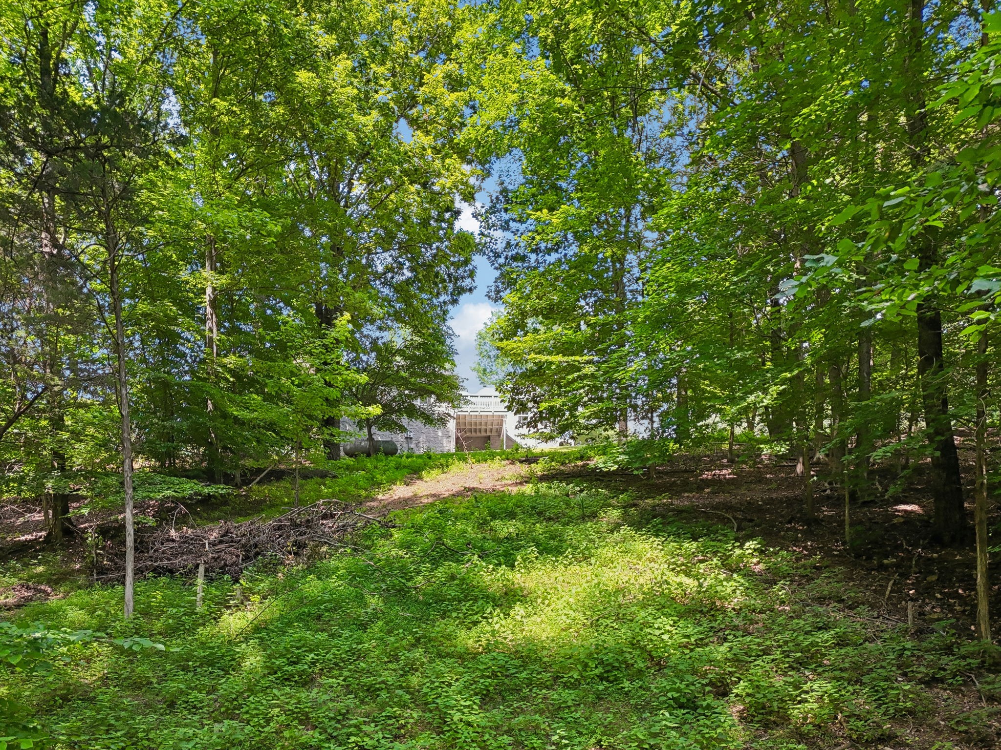 1682 Ridgeview Run Lynchburg, TN 37352 - Photo 58 of 67