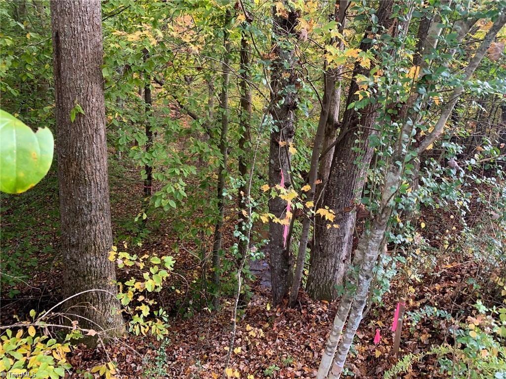 1079 Wildlife Road Mount Airy, NC 27030 - Photo 22 of 23