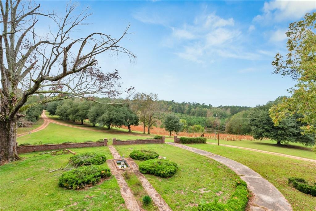 2513 Red Lick Road Lorman, MS 39096 - Photo 52 of 60