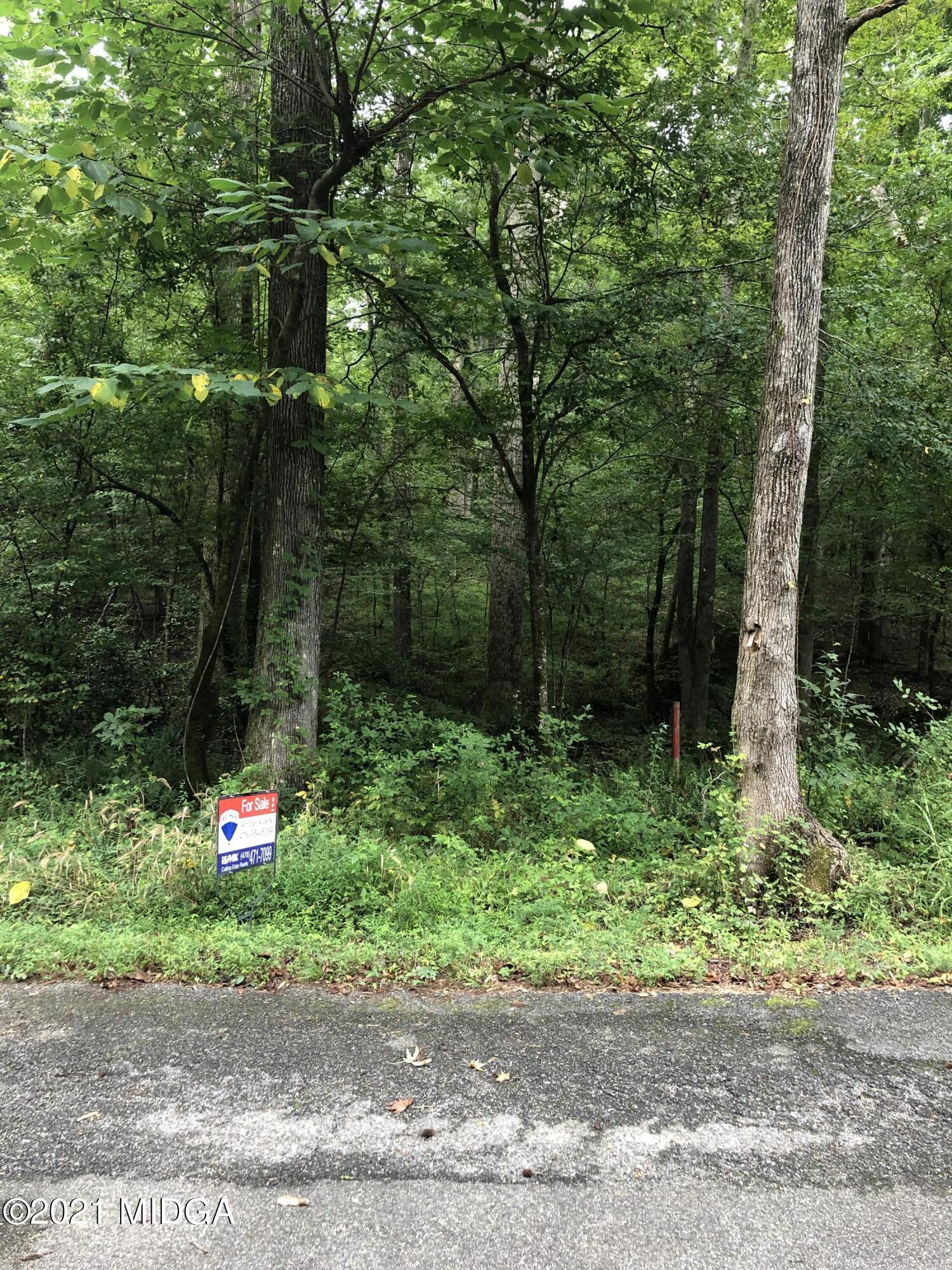 0 Upper River Road Macon, GA 31211 - Photo 2 of 4 a sign that is sitting in the middle of a yard