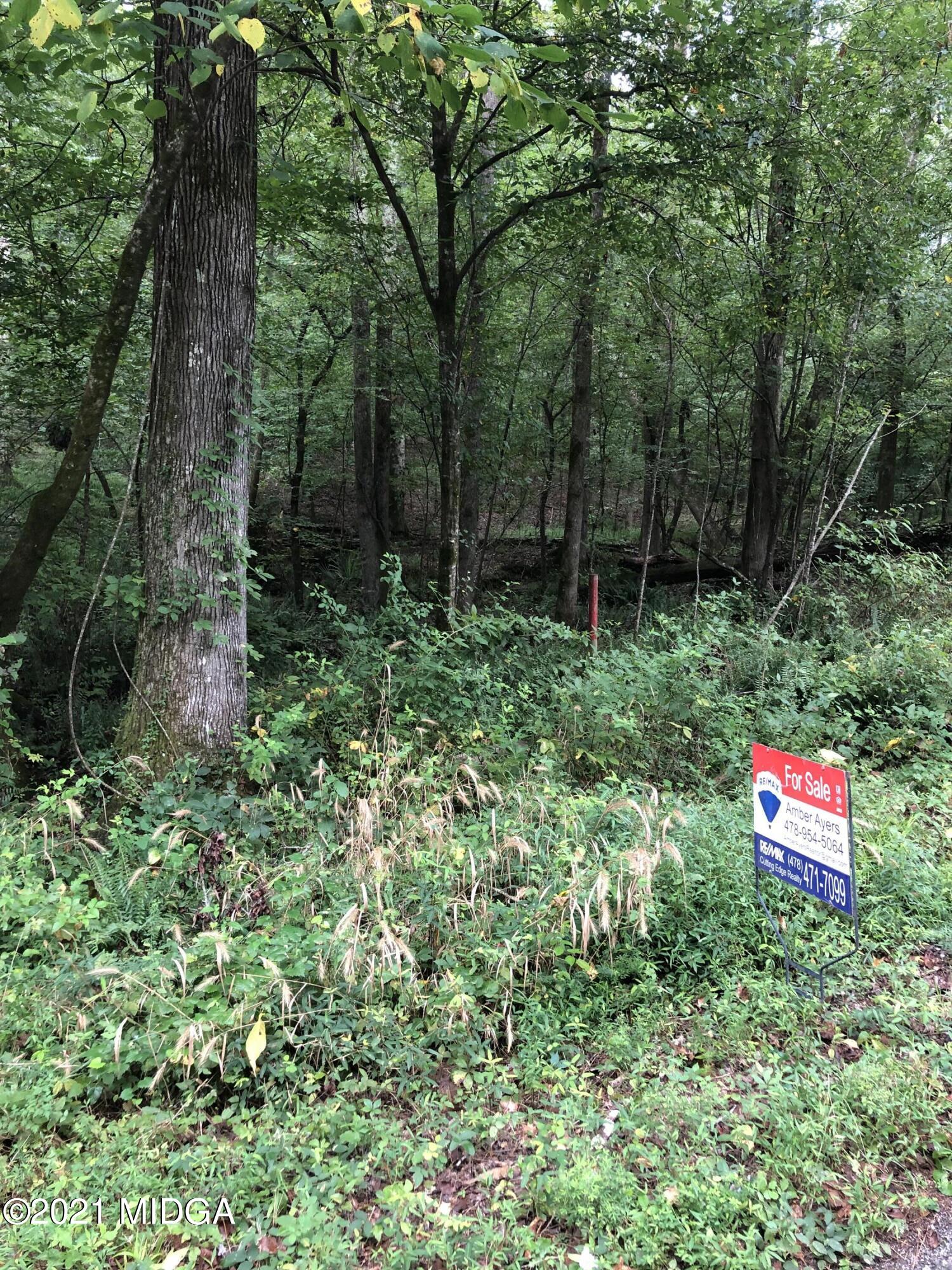 0 Upper River Road Macon, GA 31211 - Photo 3 of 4 a backyard of a house with lots of green space