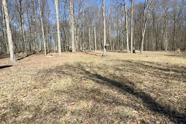 a view of outdoor space with trees