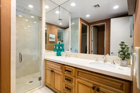 a view of a backyard with a garden and plants