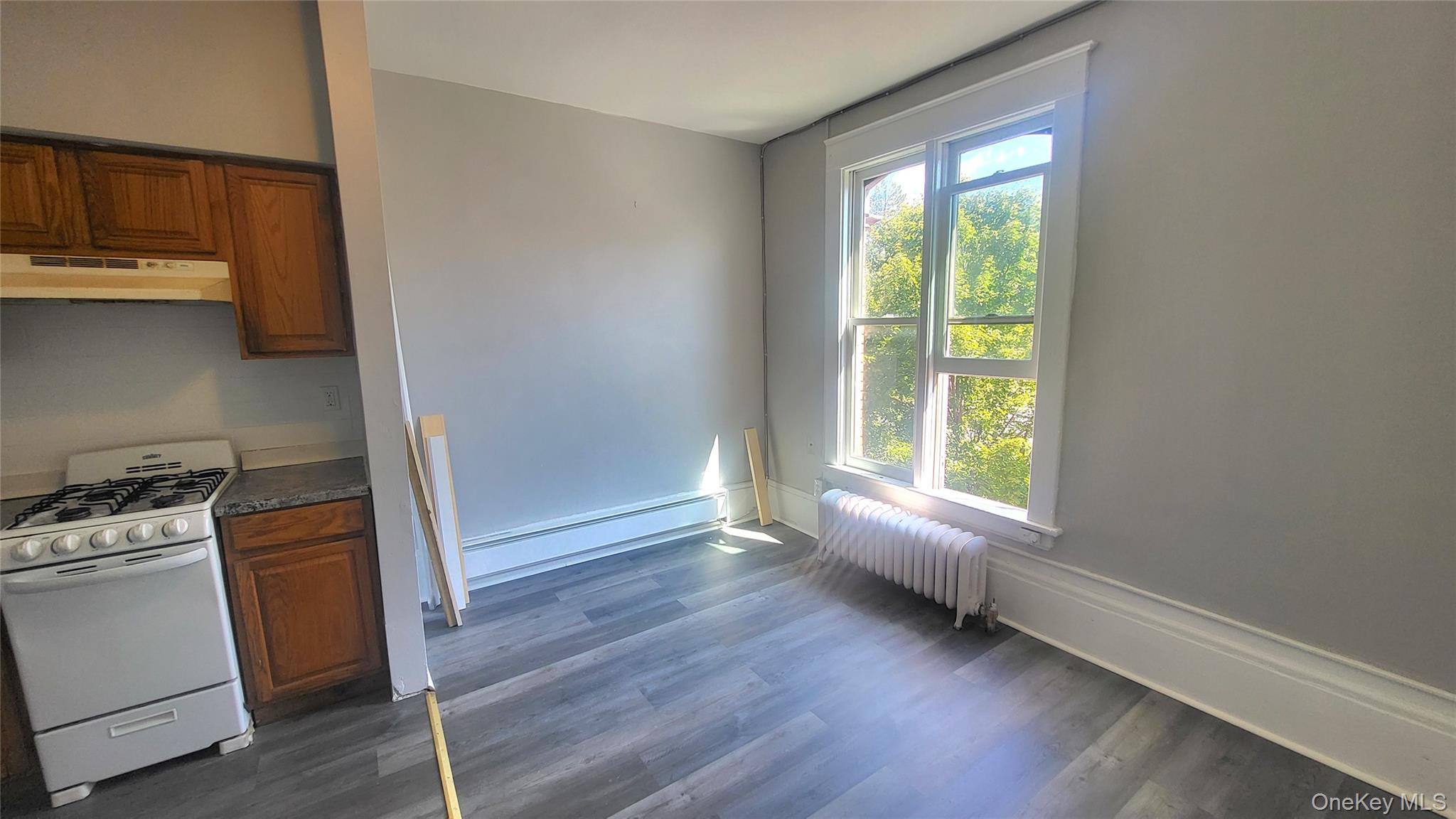 65 South Hamilton Street, Unit 9 Poughkeepsie, NY 12601 - Photo 9 of 20 a view of an empty room with a window and wooden floor