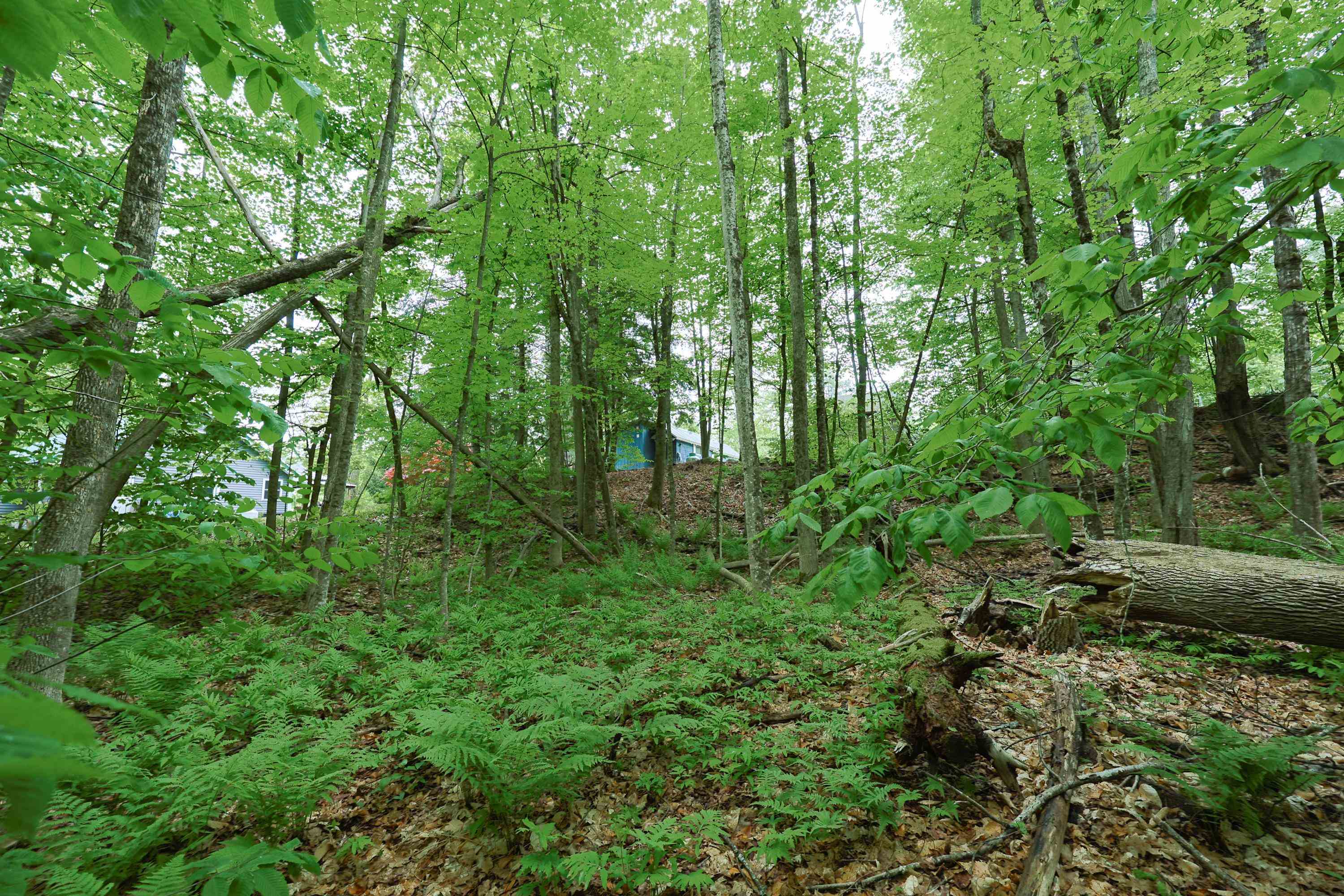 26 Neal Shore Road Meredith, NH 03253 - Photo 29 of 41