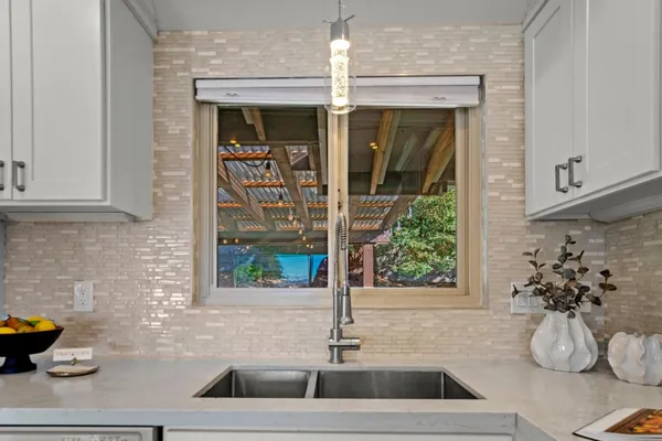 a kitchen sink with a potted plant