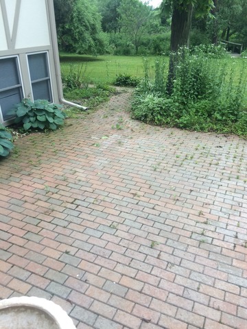 3S868 Thornapple Tree Road Sugar Grove, IL 60554 - Photo 21 of 23