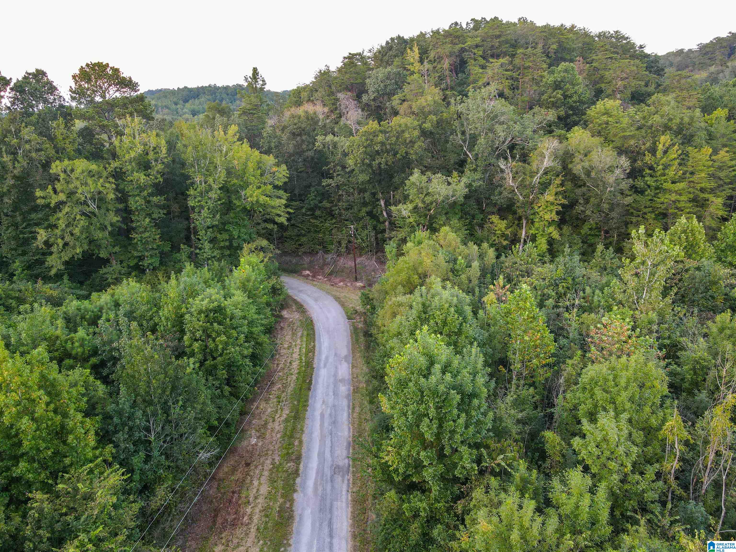 1 Highway 18, Unit 1 Oakman, AL 35579 - Photo 14 of 46