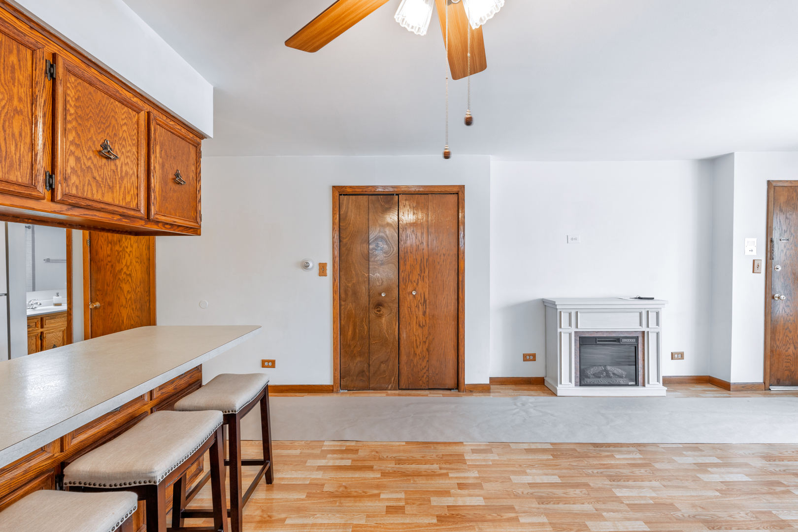 4617 Grove Avenue, Unit 1N Brookfield, IL 60513 - Photo 8 of 18