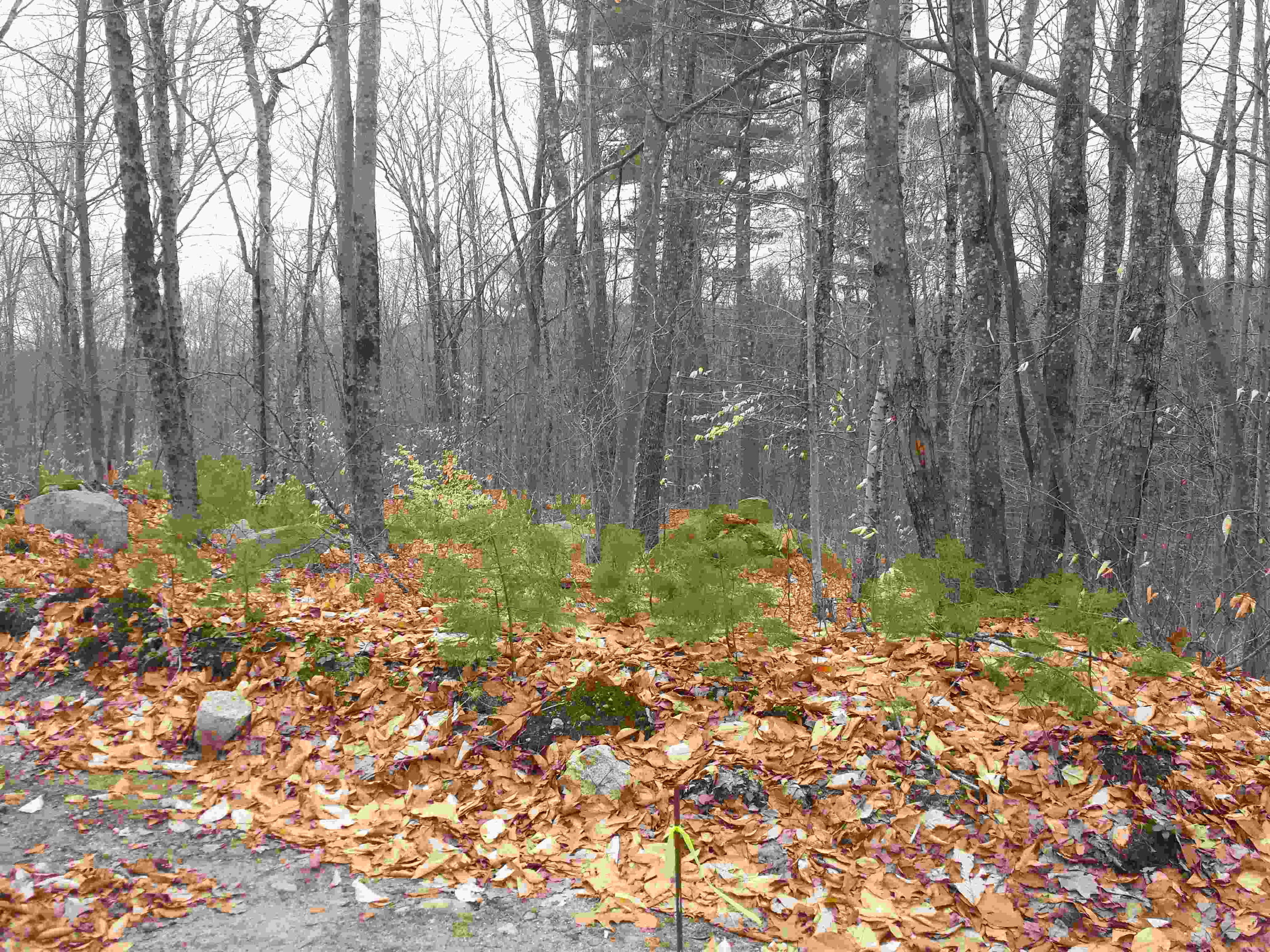 98 Beach Road Naples, ME 04055 - Photo 8 of 41 20200412_135547