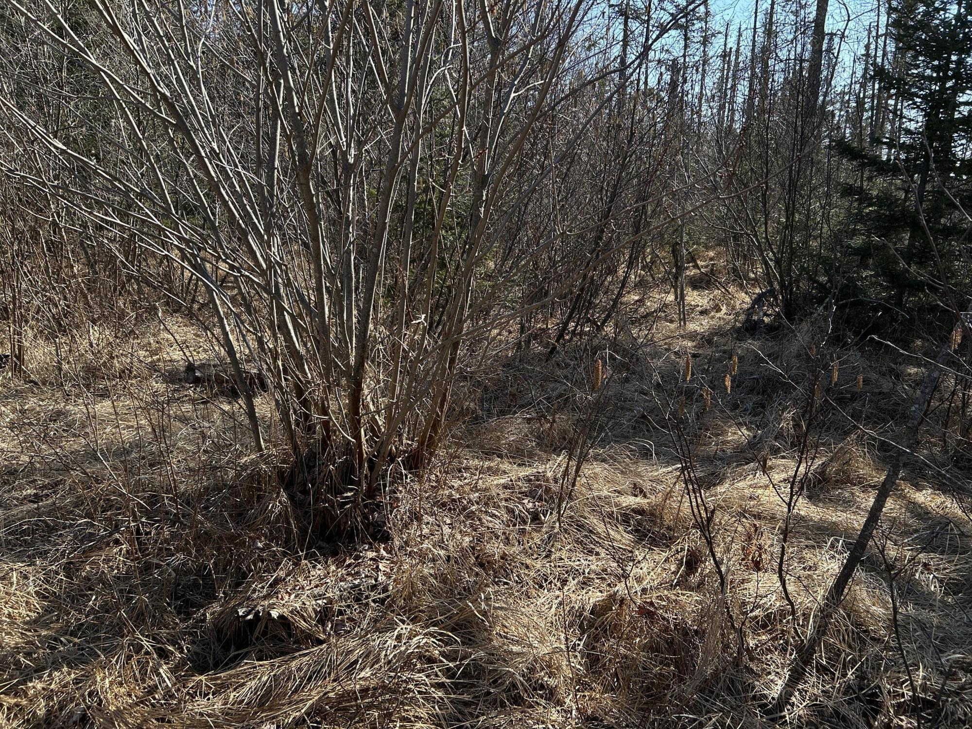 365 Cushing Road Cushing, ME 04563 - Photo 2 of 32 21