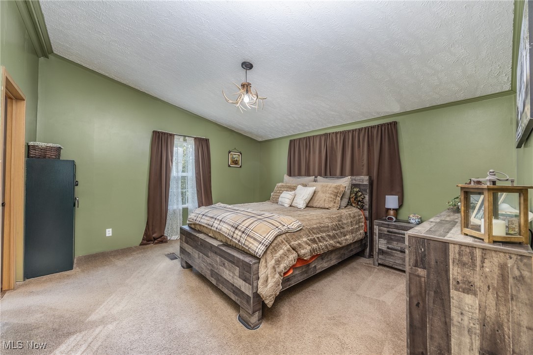 1788 Rosenbush Road Newport, OH 45768 - Photo 19 of 34 Carpeted bedroom featuring lofted ceiling and a textured ceiling