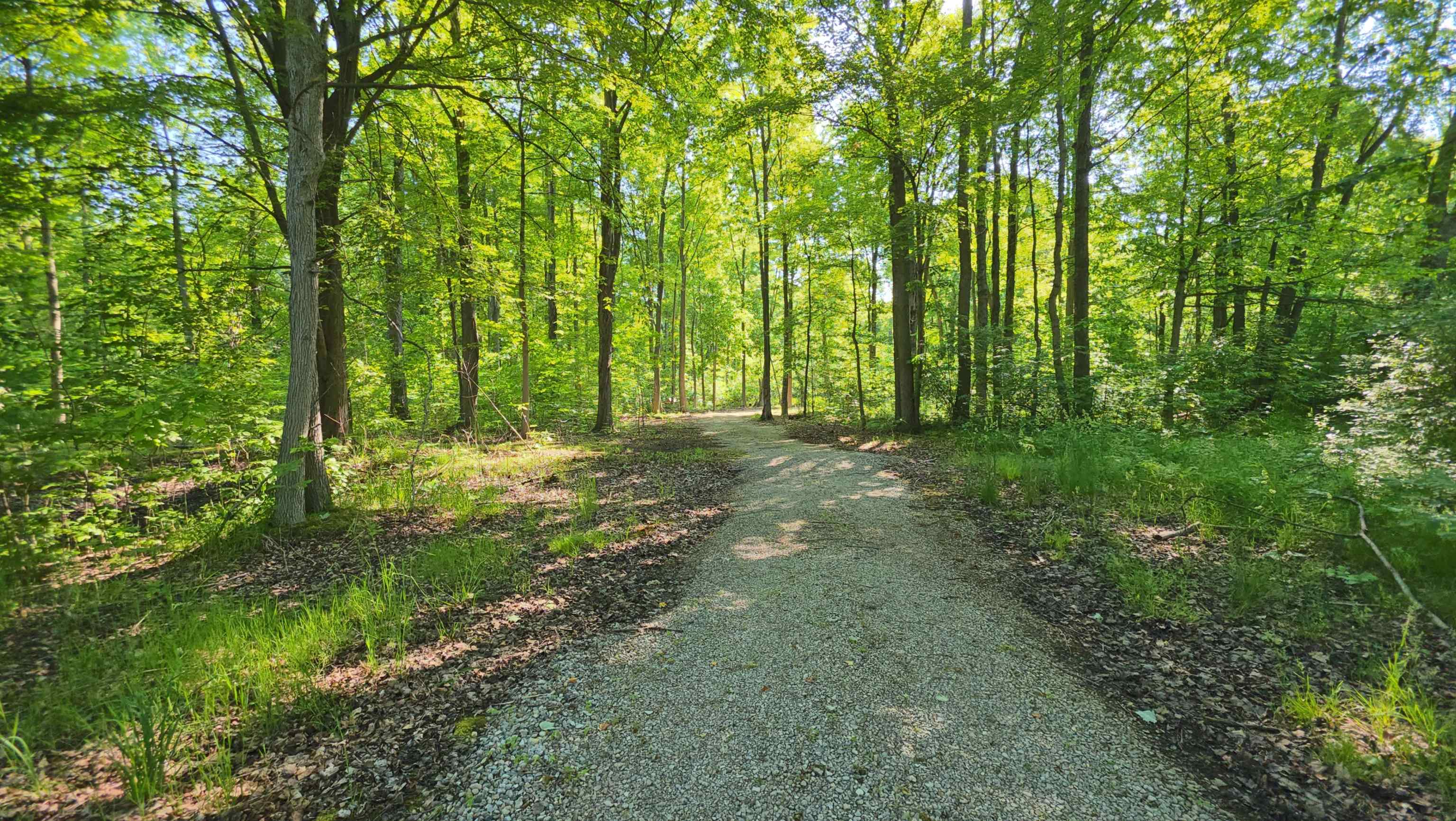 9270 Morrish Road Montrose, MI 48457 - Photo 6 of 21