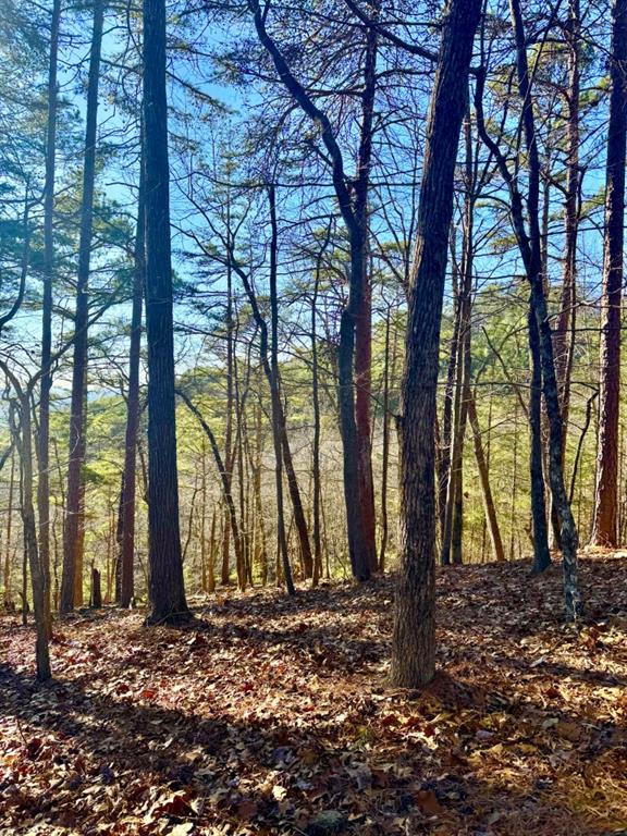 334 Packet Court Ranger, GA 30734 - Photo 2 of 21