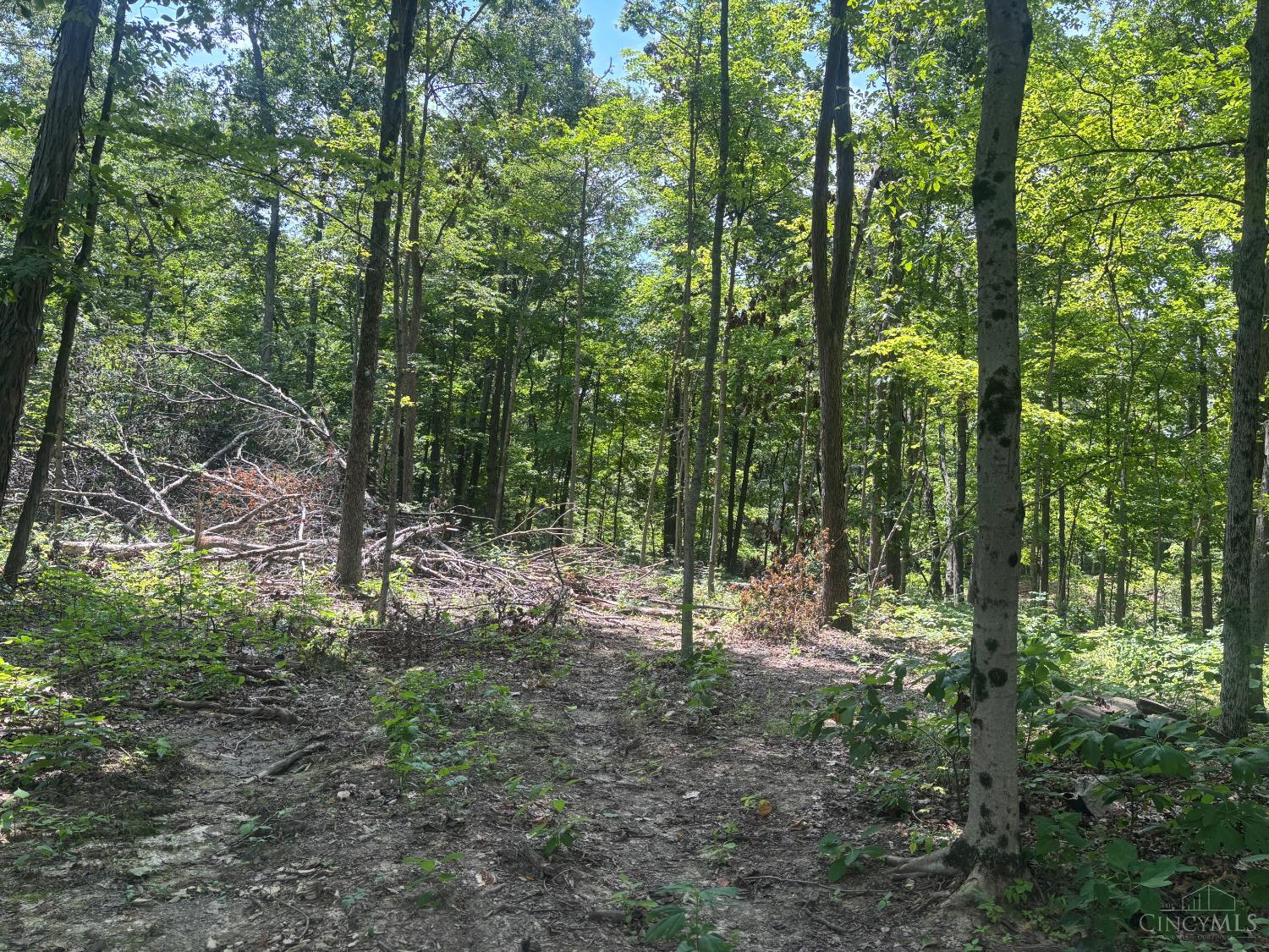 3 Jester Road Brookville, IN 47012 - Photo 2 of 3