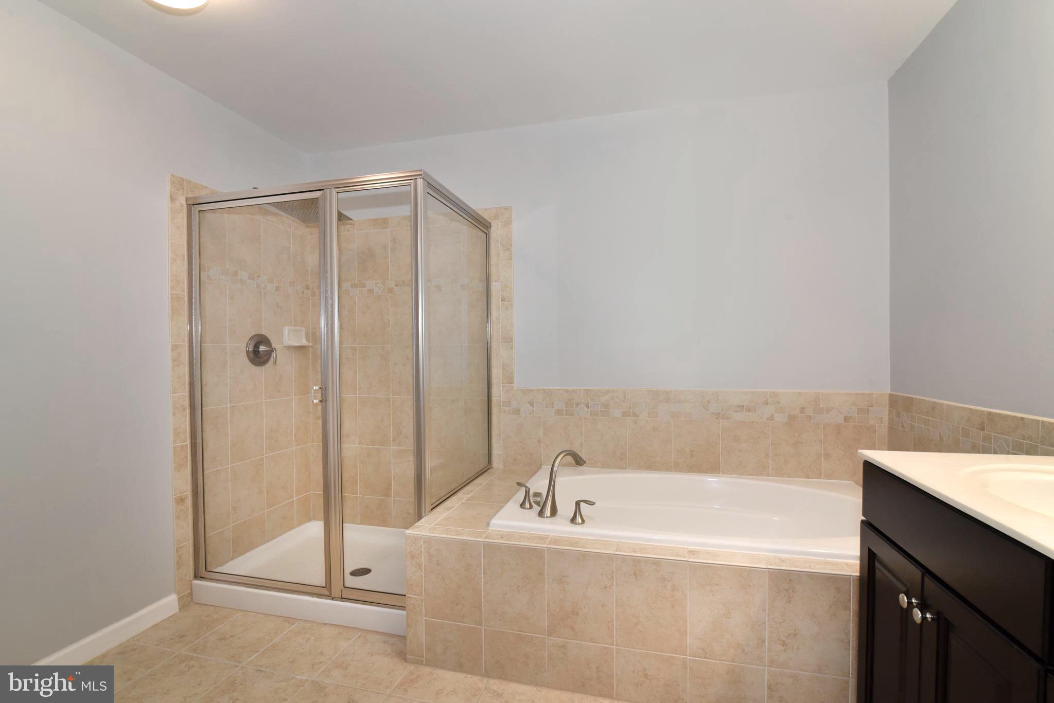 42594 Sunset Ridge Square, Unit 42594 Ashburn, VA 20148 - Photo 23 of 41 Freestanding shower and soaking tub