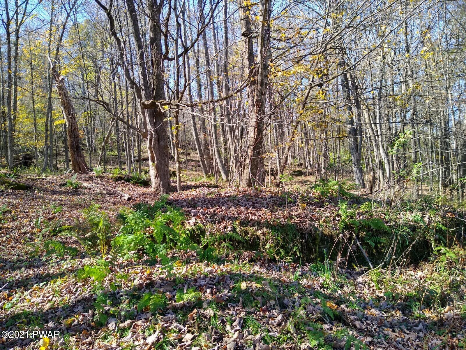 159 Lester Road Equinunk, PA 18417 - Photo 10 of 14 IMG_20211020_121536896_HDR