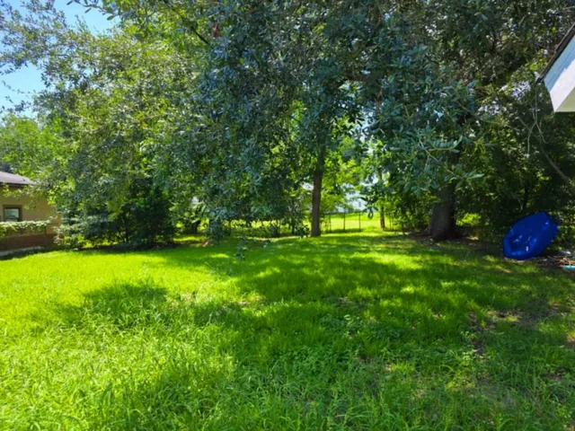 a view of a trees with a yard