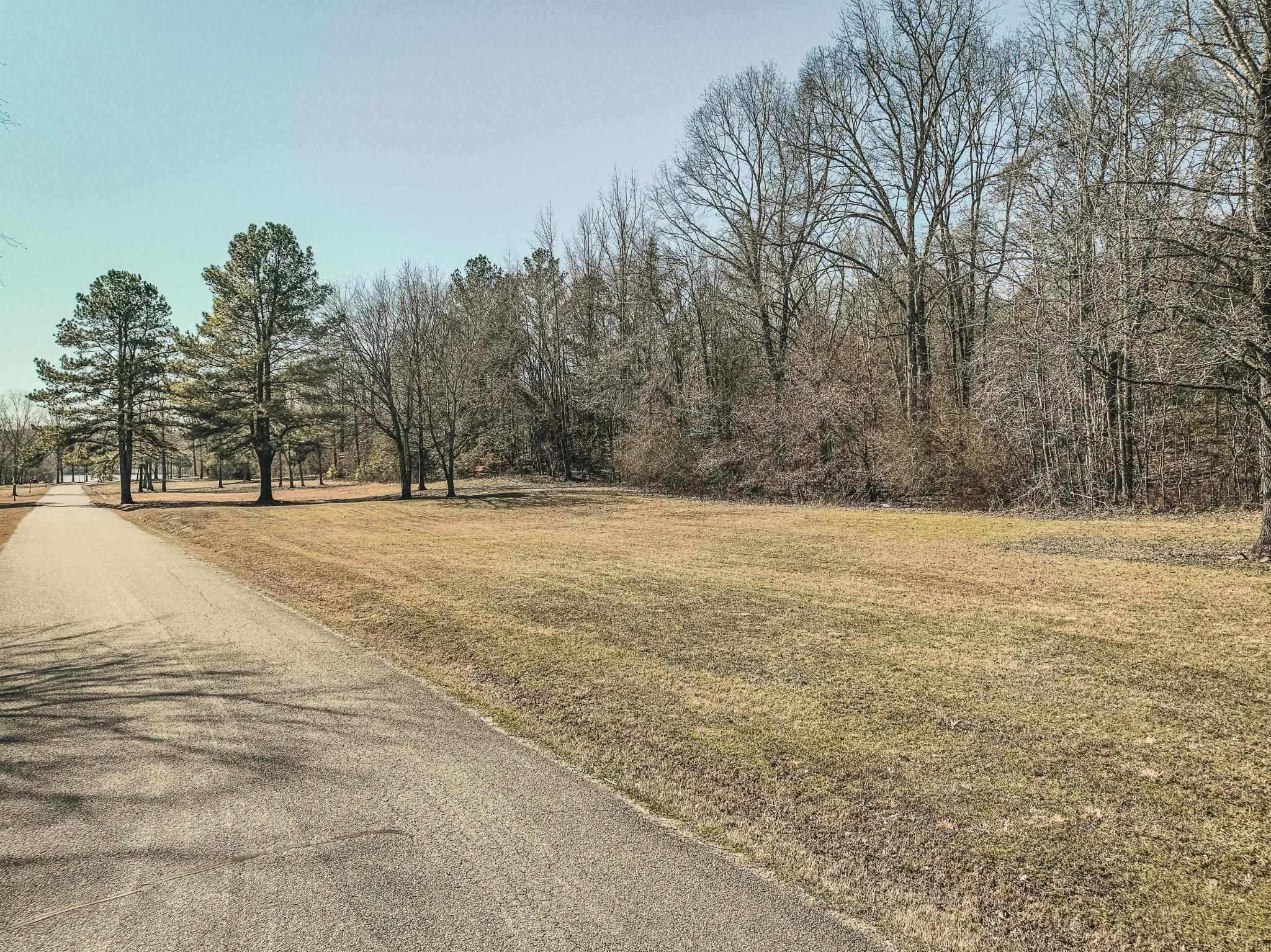 Lot 140 Creek Ridge Cove Parsons, TN 38363 - Photo 13 of 19 a view of pool and trees