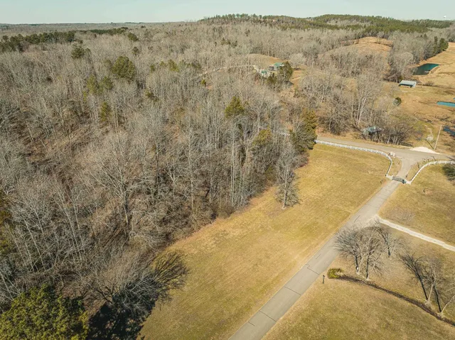 a view of pool and trees