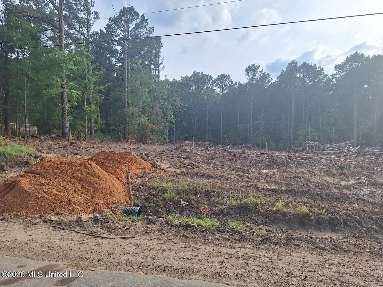709 Old Pinola Braxton Road Braxton, MS 39044 - Photo 2 of 19 1695498770852113824