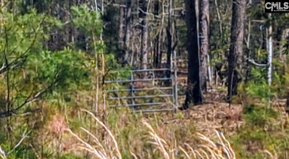 Evergreen Road Winnsboro, SC 29180 - Photo 1 of 3