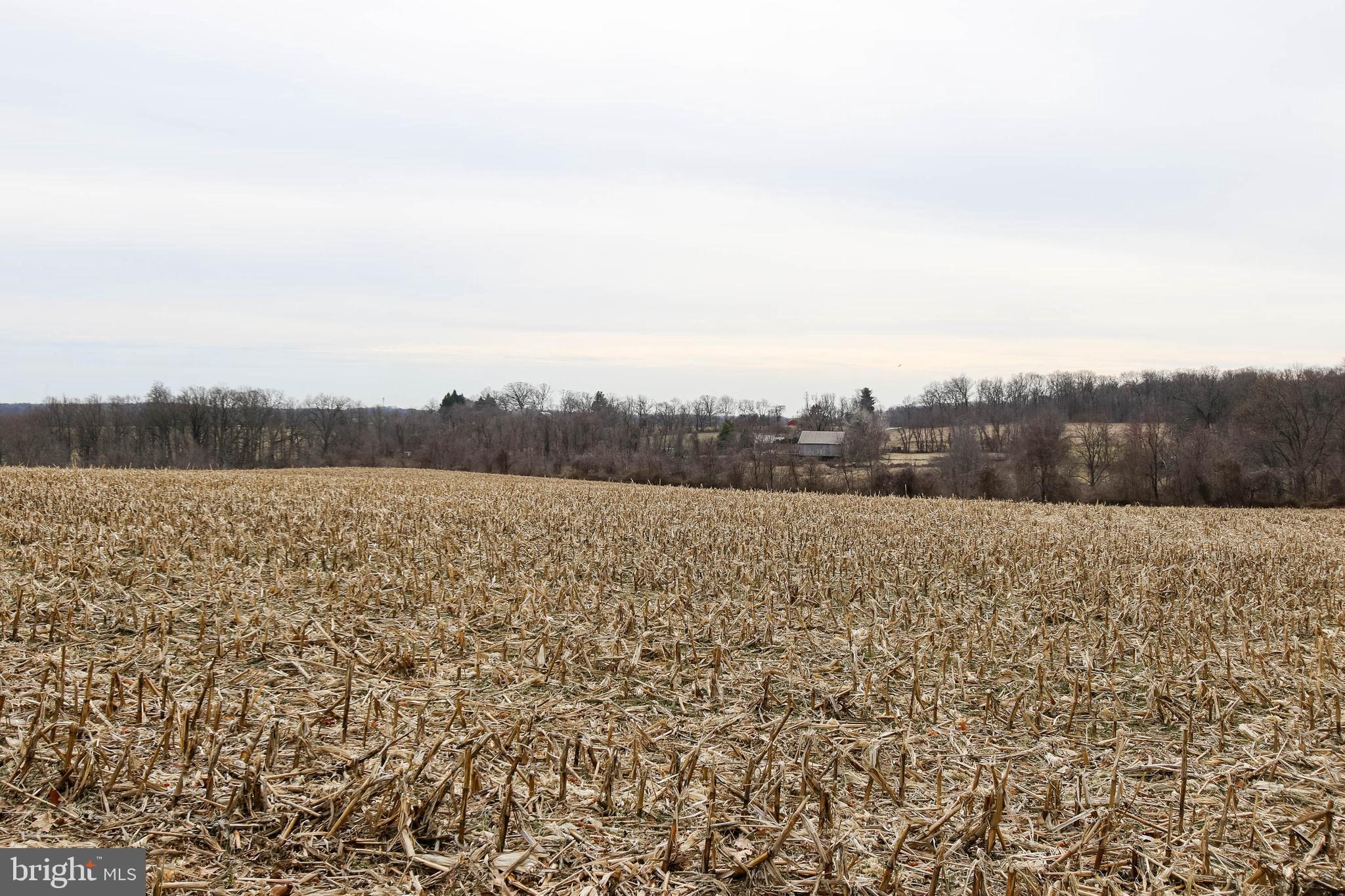 5004 Old Quarter Road Upperco, MD 21155 - Photo 6 of 61 a view of lake