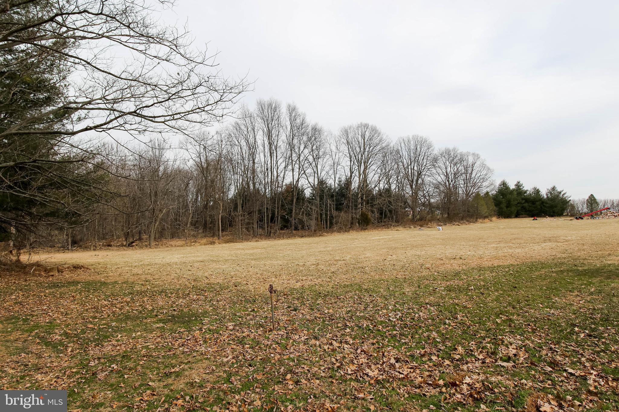 5004 Old Quarter Road Upperco, MD 21155 - Photo 57 of 61 a view of yard with trees