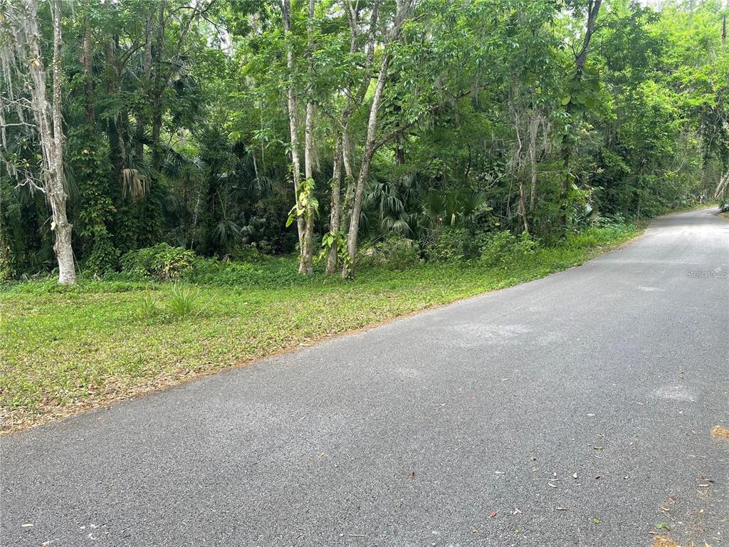 242 Fraser Road DeBary, FL 32713 - Photo 3 of 12