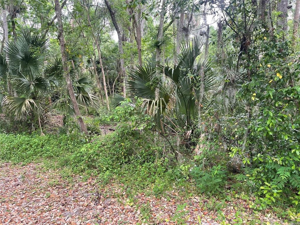 242 Fraser Road DeBary, FL 32713 - Photo 4 of 12