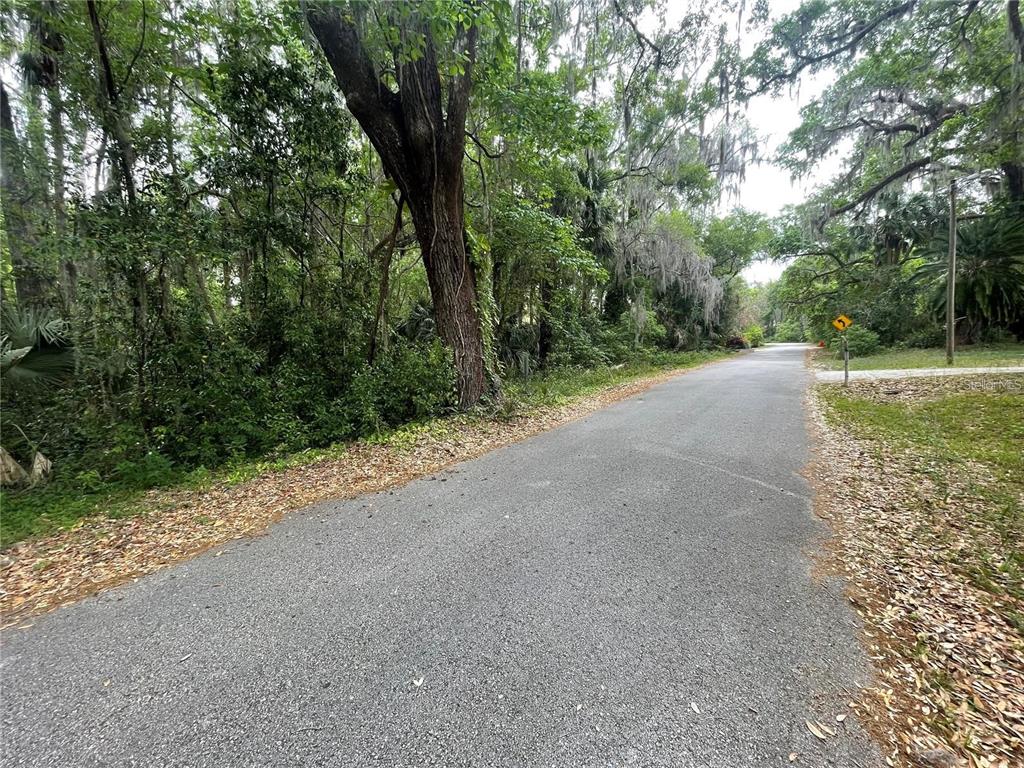 242 Fraser Road DeBary, FL 32713 - Photo 6 of 12