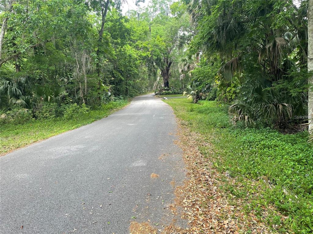 242 Fraser Road DeBary, FL 32713 - Photo 9 of 12