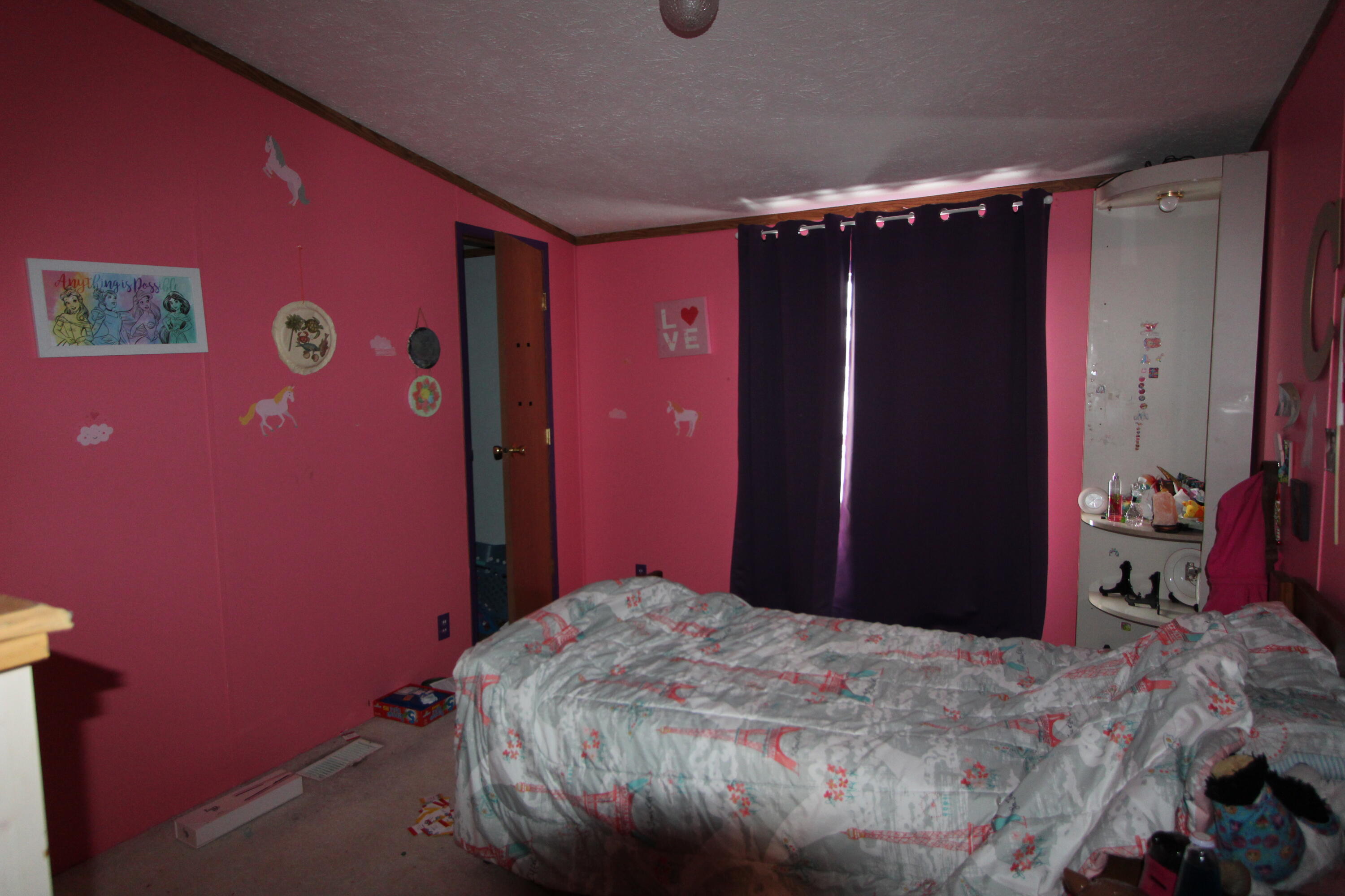 4472 Westbrook Road Ionia, MI 48846 - Photo 35 of 41 IMG_0442