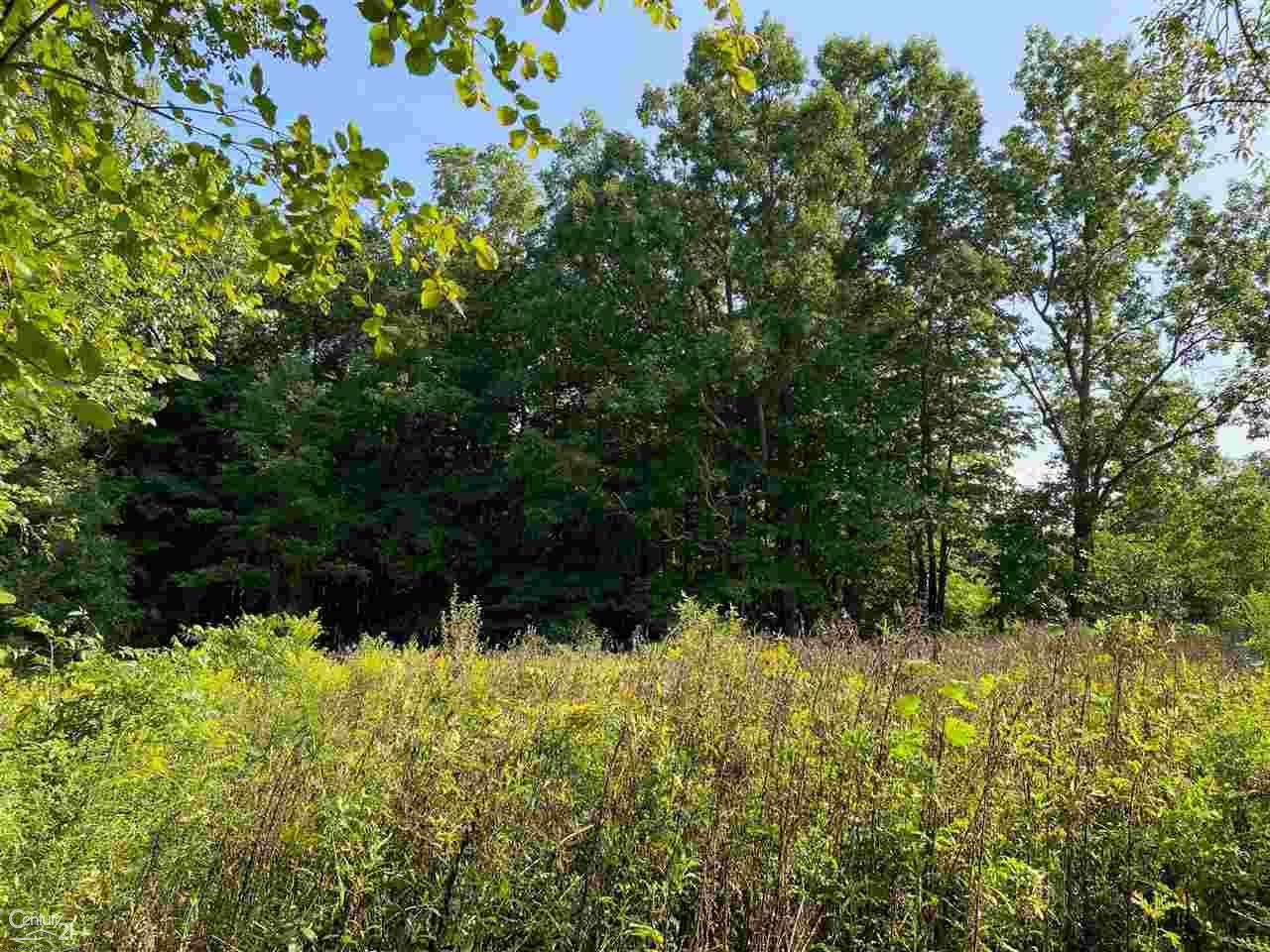 0 Marshall Road South Lyon, MI 48178 - Photo 20 of 29