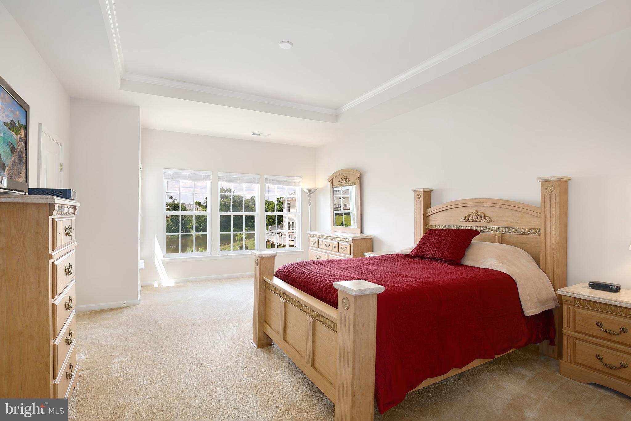 9210 Ribbon Falls Loop Bristow, VA 20136 - Photo 18 of 30 Bedroom (Master)
