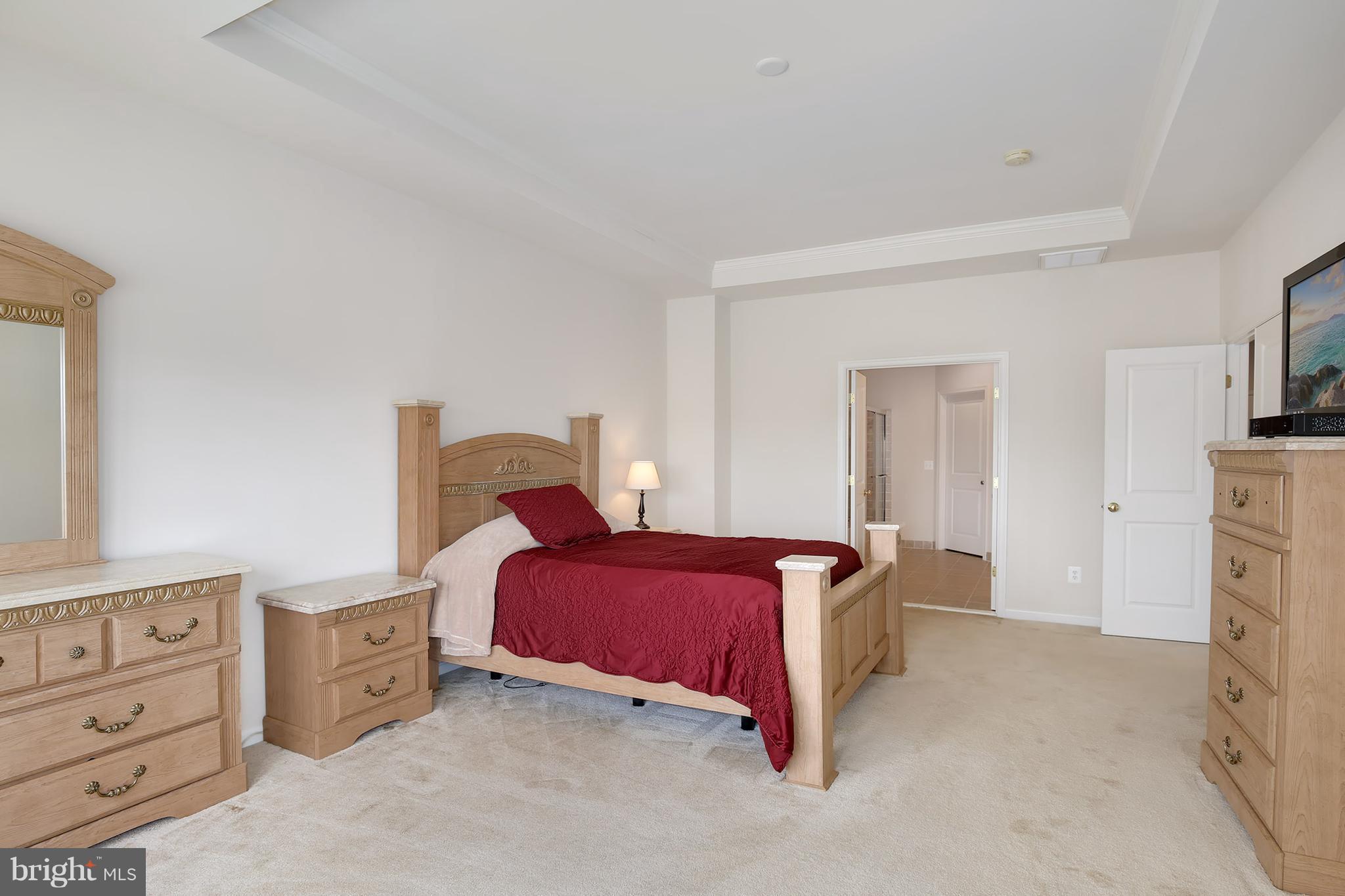 9210 Ribbon Falls Loop Bristow, VA 20136 - Photo 19 of 30 Bedroom (Master)