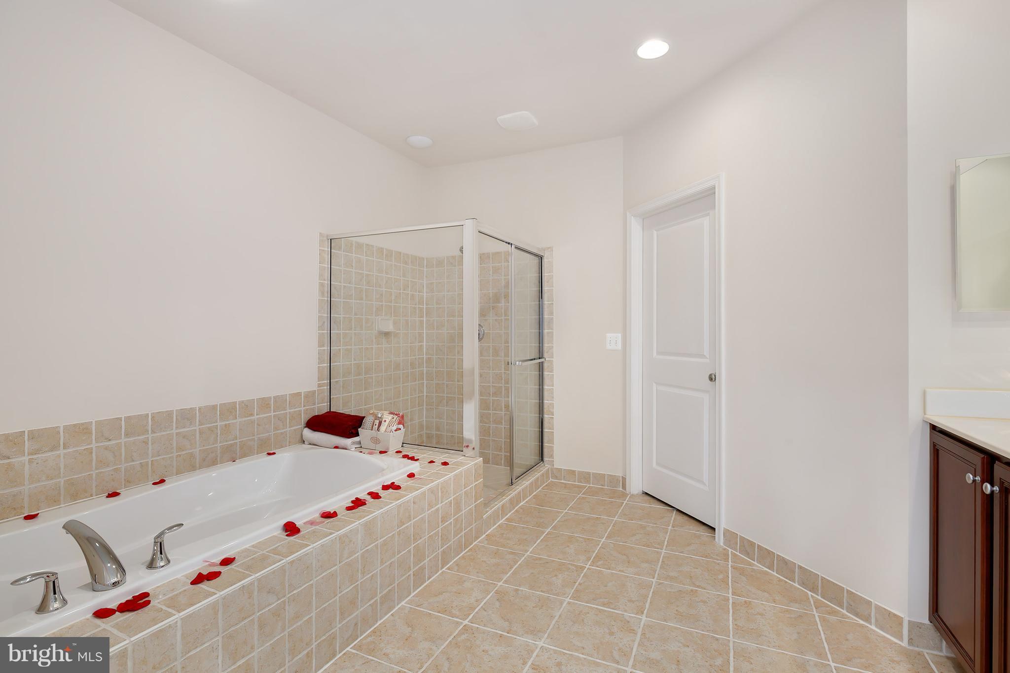 9210 Ribbon Falls Loop Bristow, VA 20136 - Photo 20 of 30 Bath (Master)