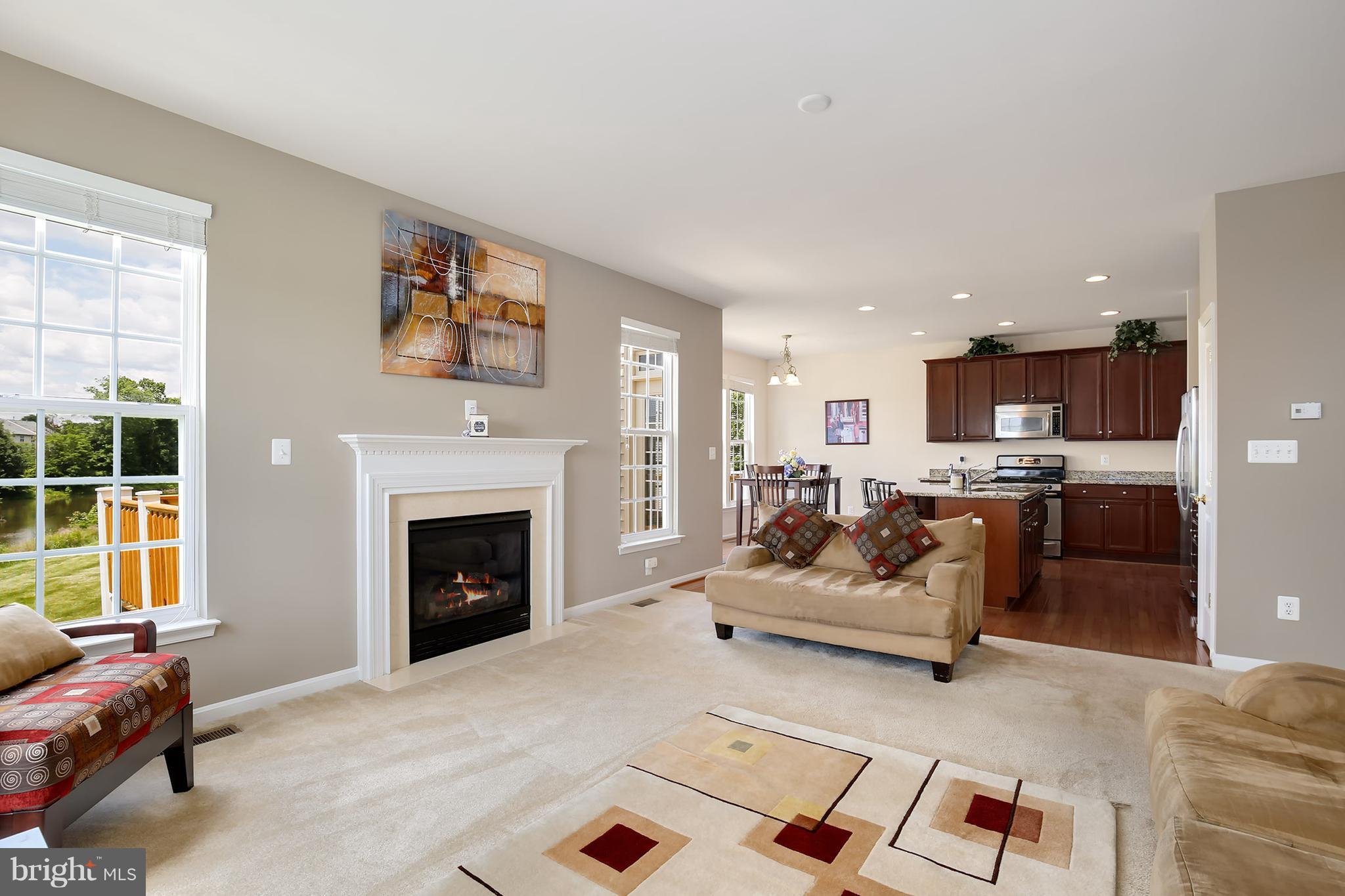 9210 Ribbon Falls Loop Bristow, VA 20136 - Photo 10 of 30 Family Room