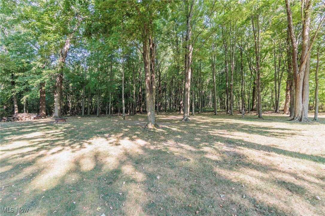 36556 Mills Road Avon, OH 44011 - Photo 5 of 36 View of yard