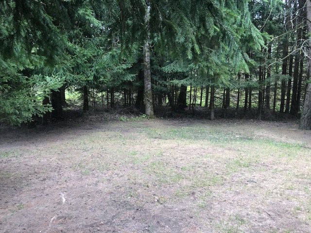 7293 North Coldwater Road Lake, MI 48632 - Photo 23 of 26 1858325-25.JPG