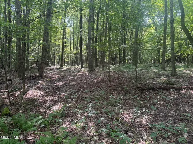 $249,800 | 1976 Ny-29a St-johnstown Ny 12095, Gloversville, NY 12078