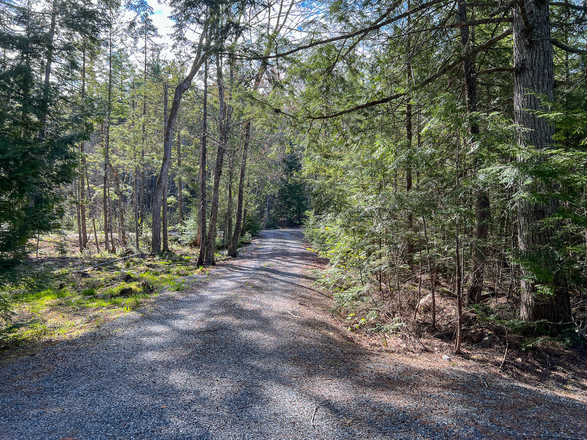 Lot 25.11 Nicatous Stream Road Burlington, ME 04417 - Photo 15 of 29 13