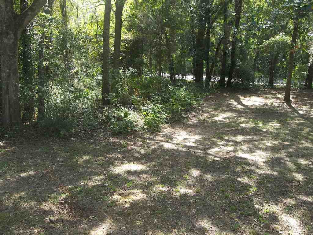 220 Bannerman Road Tallahassee, FL 32312 - Photo 2 of 25 Gallery Image 2