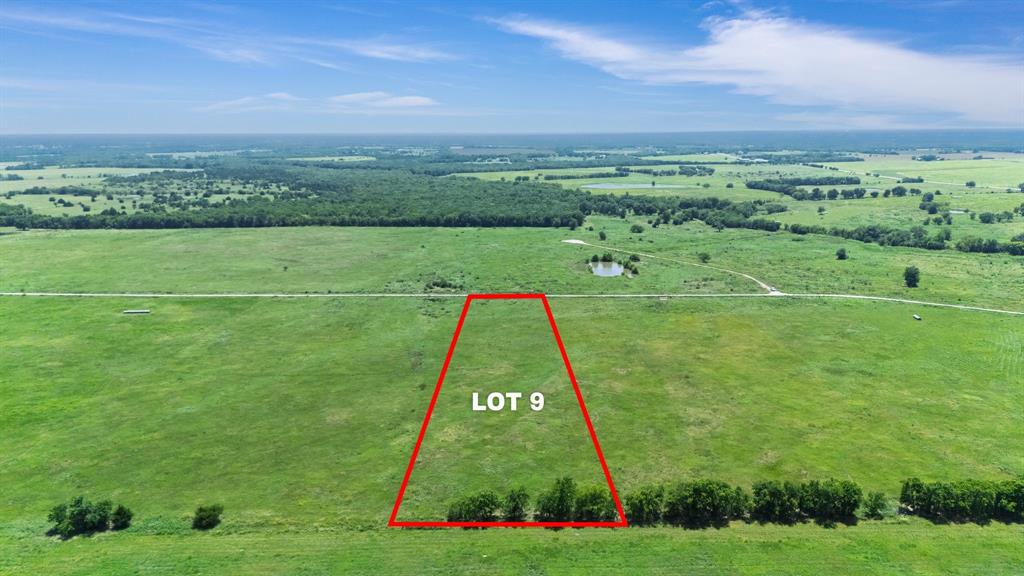 Lot 9 County Line Road Pecan Gap, TX 75469 - Photo 9 of 10 a view of a big yard with a large trees