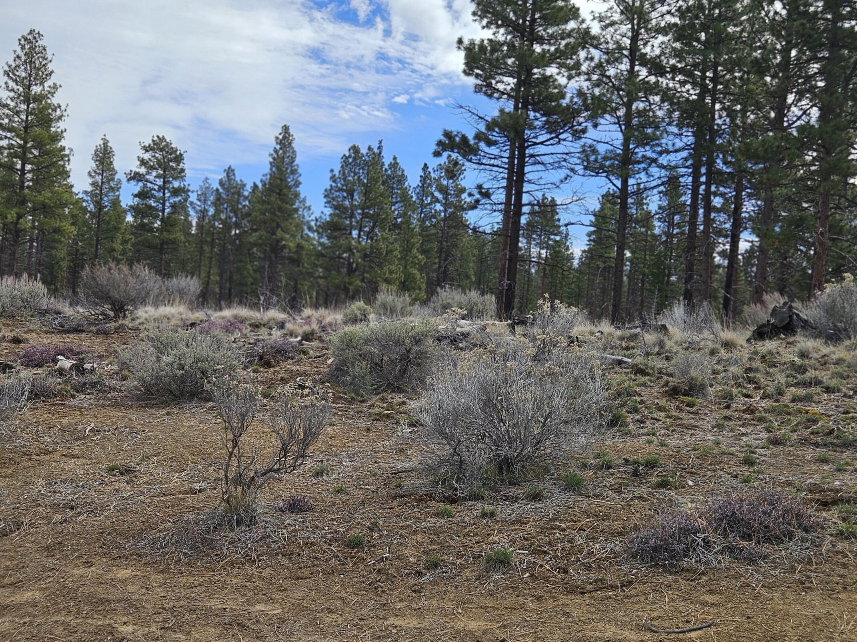 0 Canadian Honker Lane, Unit 9 Chiloquin, OR 97624 - Photo 9 of 11 20260313_123729
