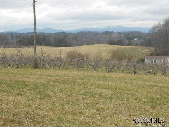 205 Lane Road Flat Rock, NC 28731 - Photo 1 of 10 Gallery Image 1